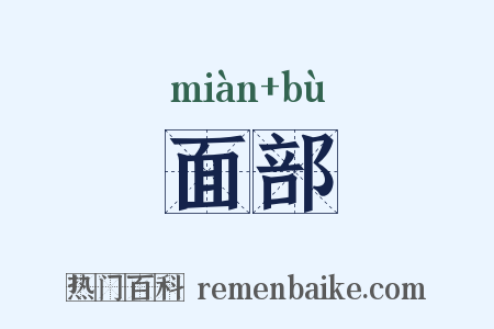 面部是什么意思的图片
